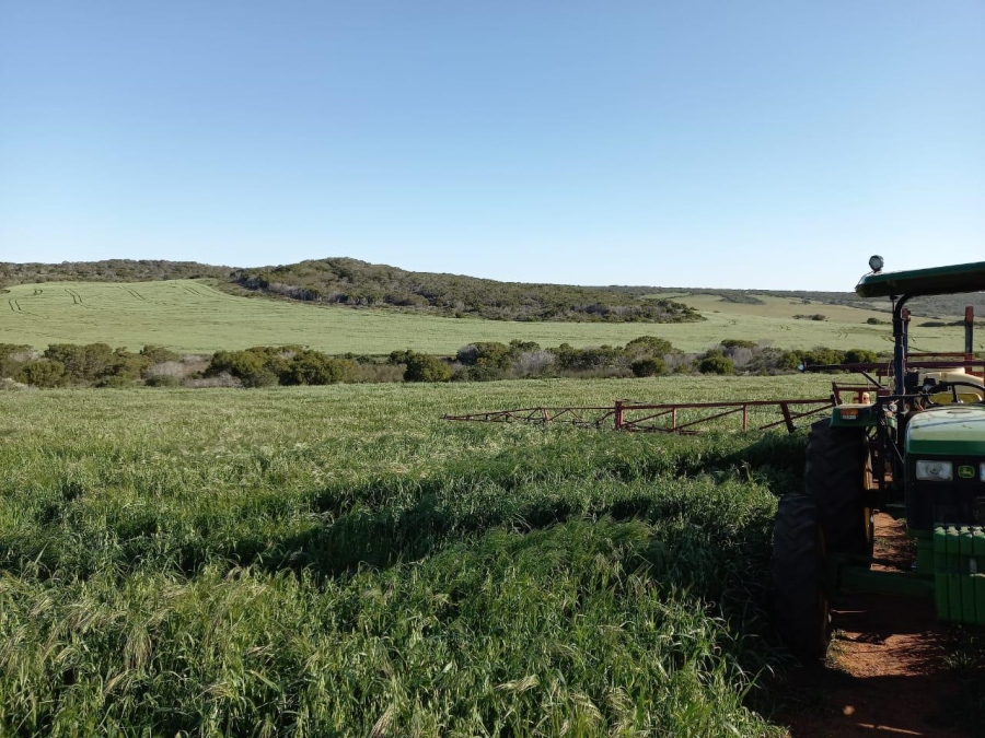 0 Bedroom Property for Sale in Riversdale Rural Western Cape